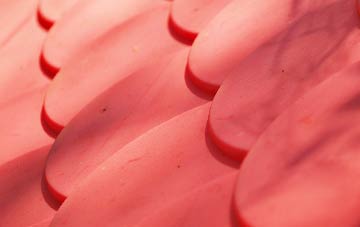 Hagloe plastic roof costs